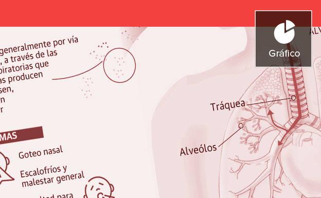 dificultad para orinar mapa de zona dificultad para orinar mapa de zona